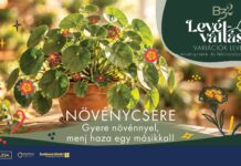 Levélváltás a B32-ben